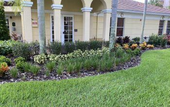 Why Should You Rely on Professional Landscape Contractors?